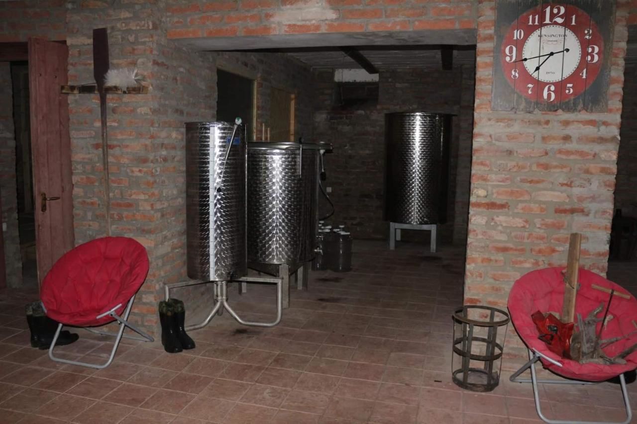 Проживание в семье Wine Artisans Chateau Гори-10